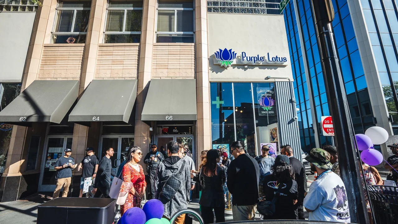 Purple Lotus promotional event imagery from the San Jose dispensary website