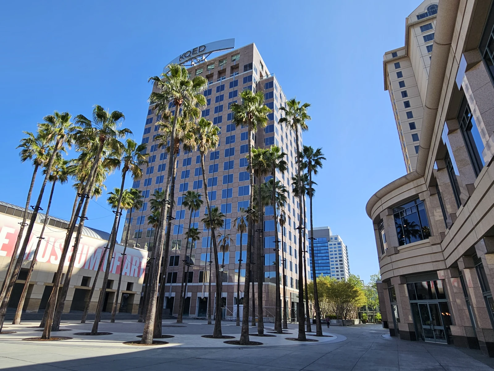 Circle of Palms and the San Jose Museum of Art in downtown San Jose