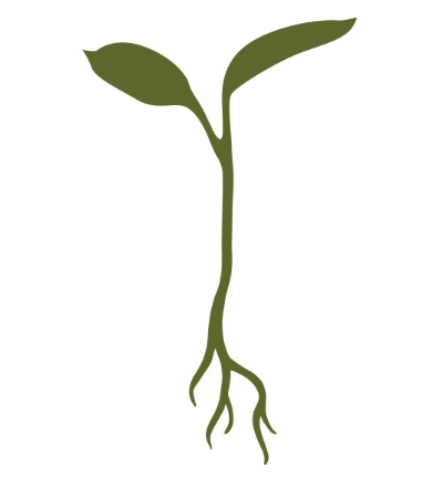 Raw Garden brand mark